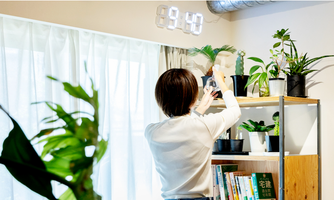 自然を家の中へ取り込む