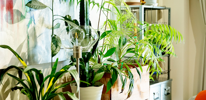 人も植物も過ごしやすい住環境へ